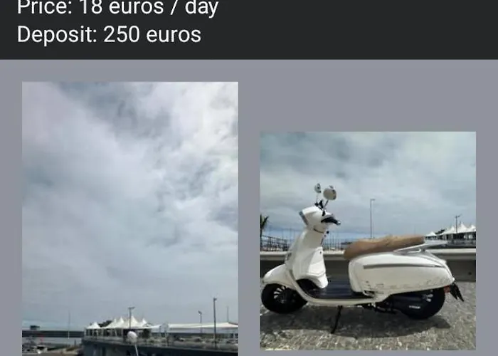 Apartamento Yellow Owl Ii Bedroom I